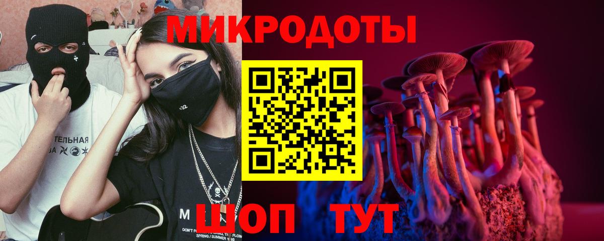 Псилоцибиновые грибы Cubensis Рубцовск